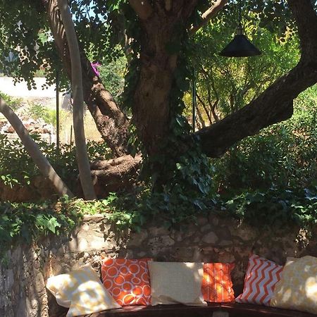 Relax Garden Daire Stari Grad  Dış mekan fotoğraf