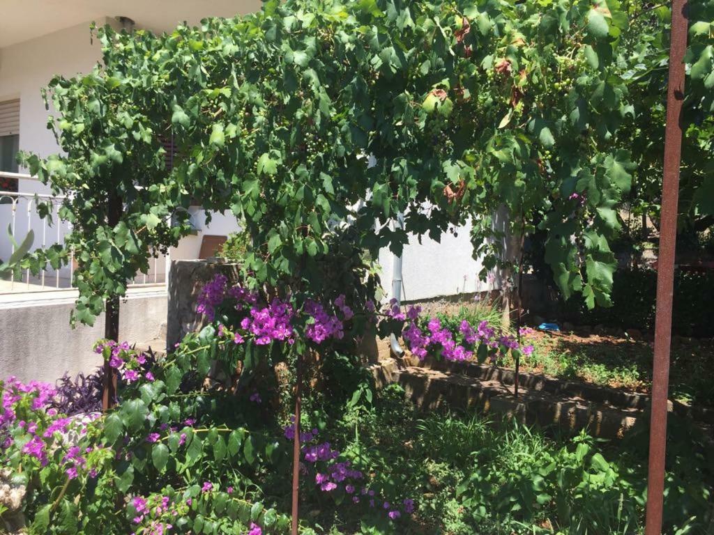 Relax Garden Daire Stari Grad  Dış mekan fotoğraf