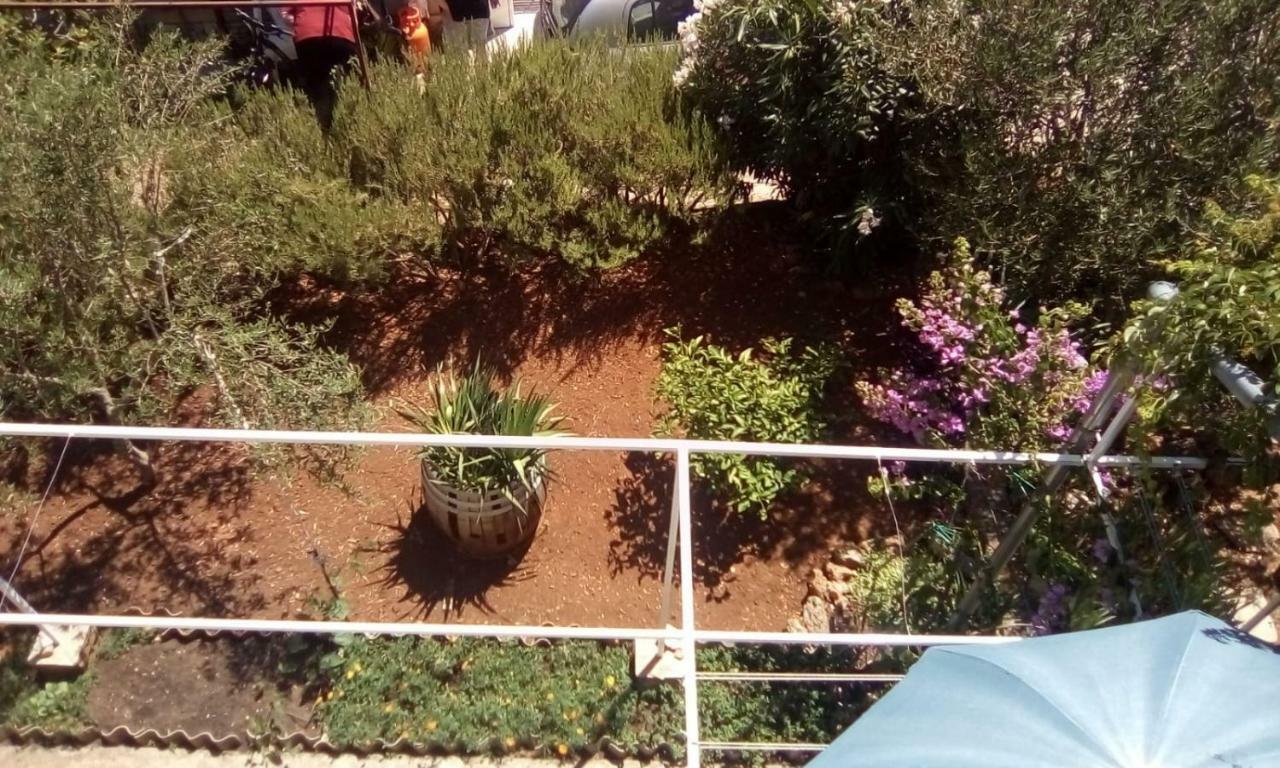 Relax Garden Daire Stari Grad  Dış mekan fotoğraf